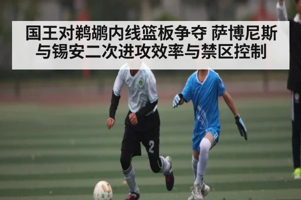 国王对鹈鹕内线篮板争夺 萨博尼斯与锡安二次进攻效率与禁区控制